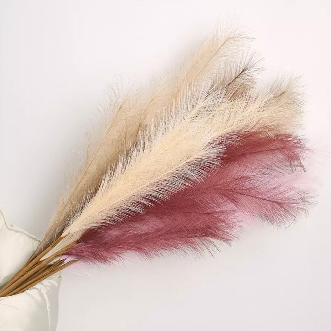 Fluffy βππͺπΎπβ Pampas Stems