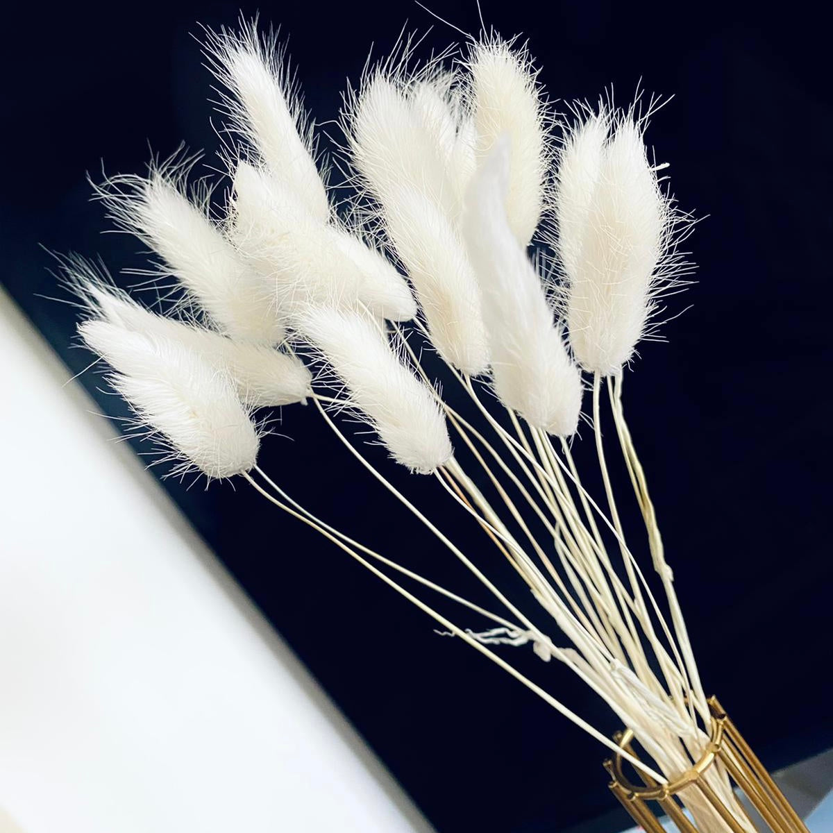 Fluffy โ๐ข๐ท๐ธ๐ ๐ฆ๐ฑ๐ฒ๐ฝ๐ฎโ Pampas Bunny Tails