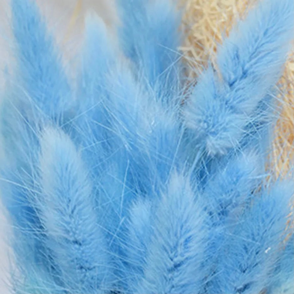 Fluffy Blue SAPPHIRE Pampas Bunny Tails