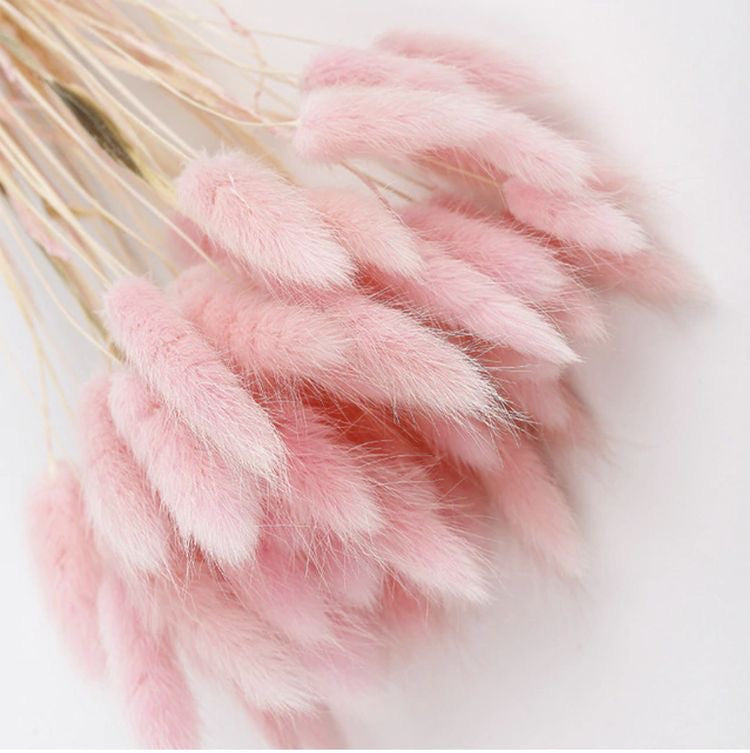Pink βππͺπ·ππ ππ΅πΈπΌπΌβ Fluffy Pampas Bunny Tails