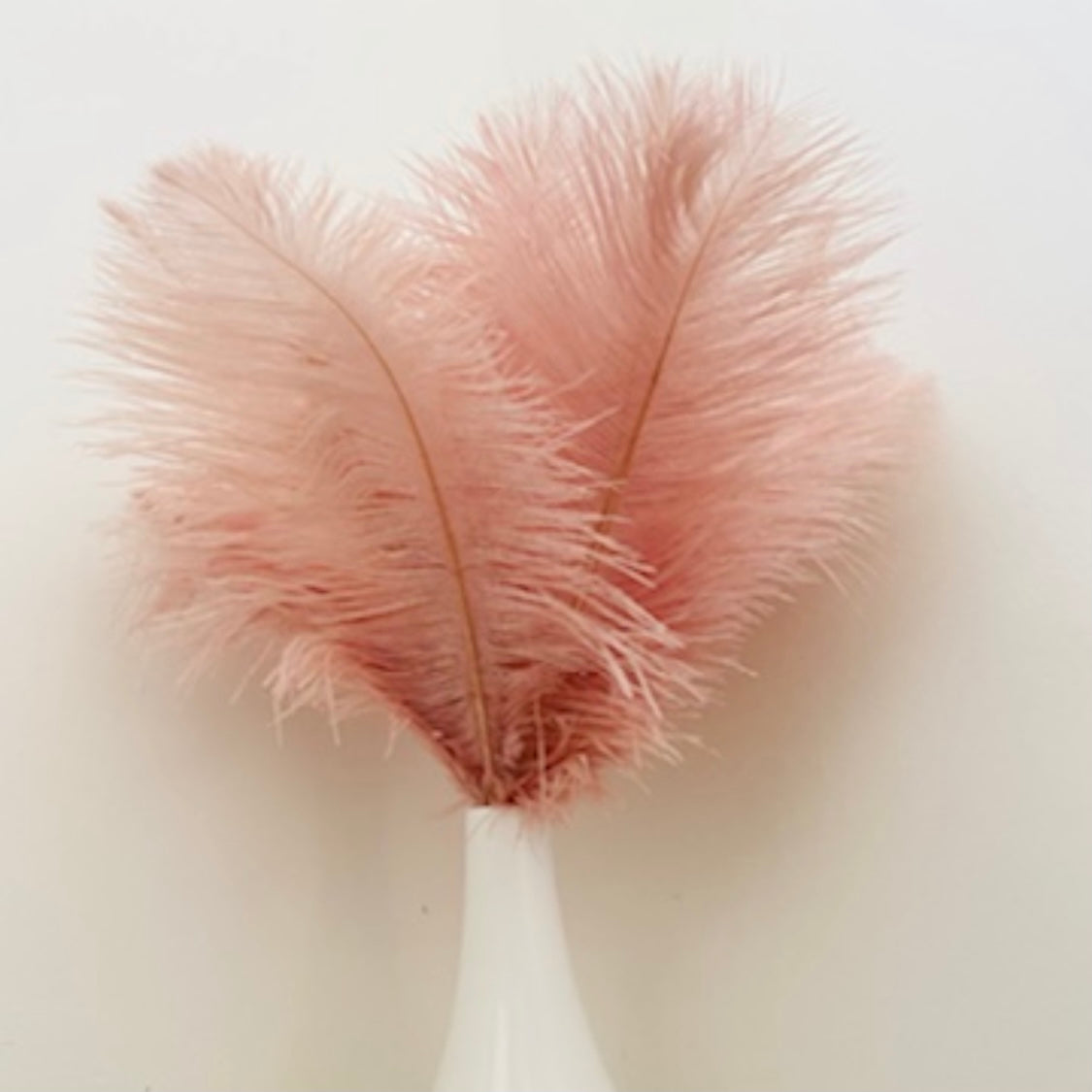 Fluffy ' ππ΅πΎπΌπ±' Ostrich Feather Bouquet
