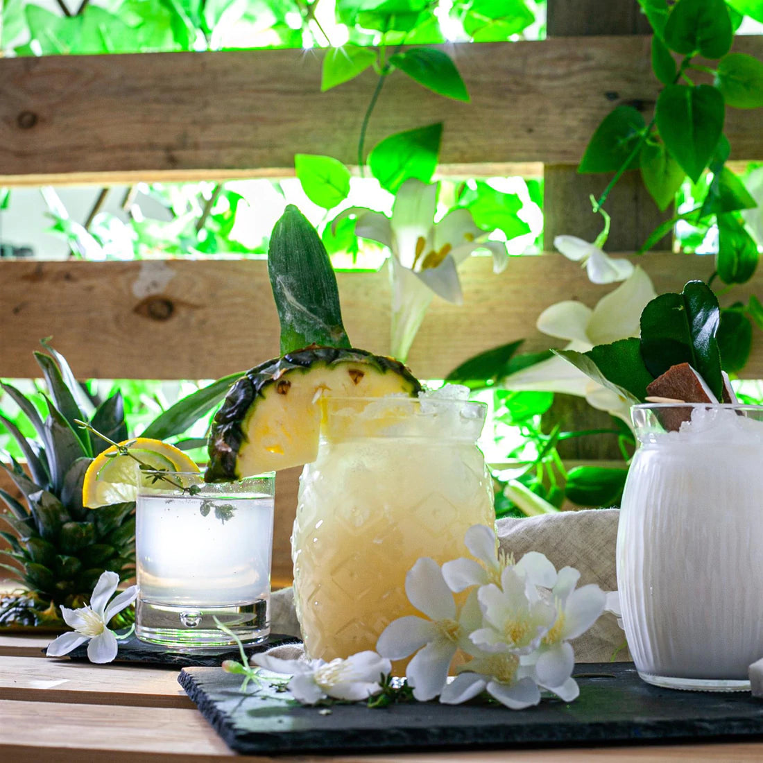 Six Coconut Glasses | Unusual Glasses |