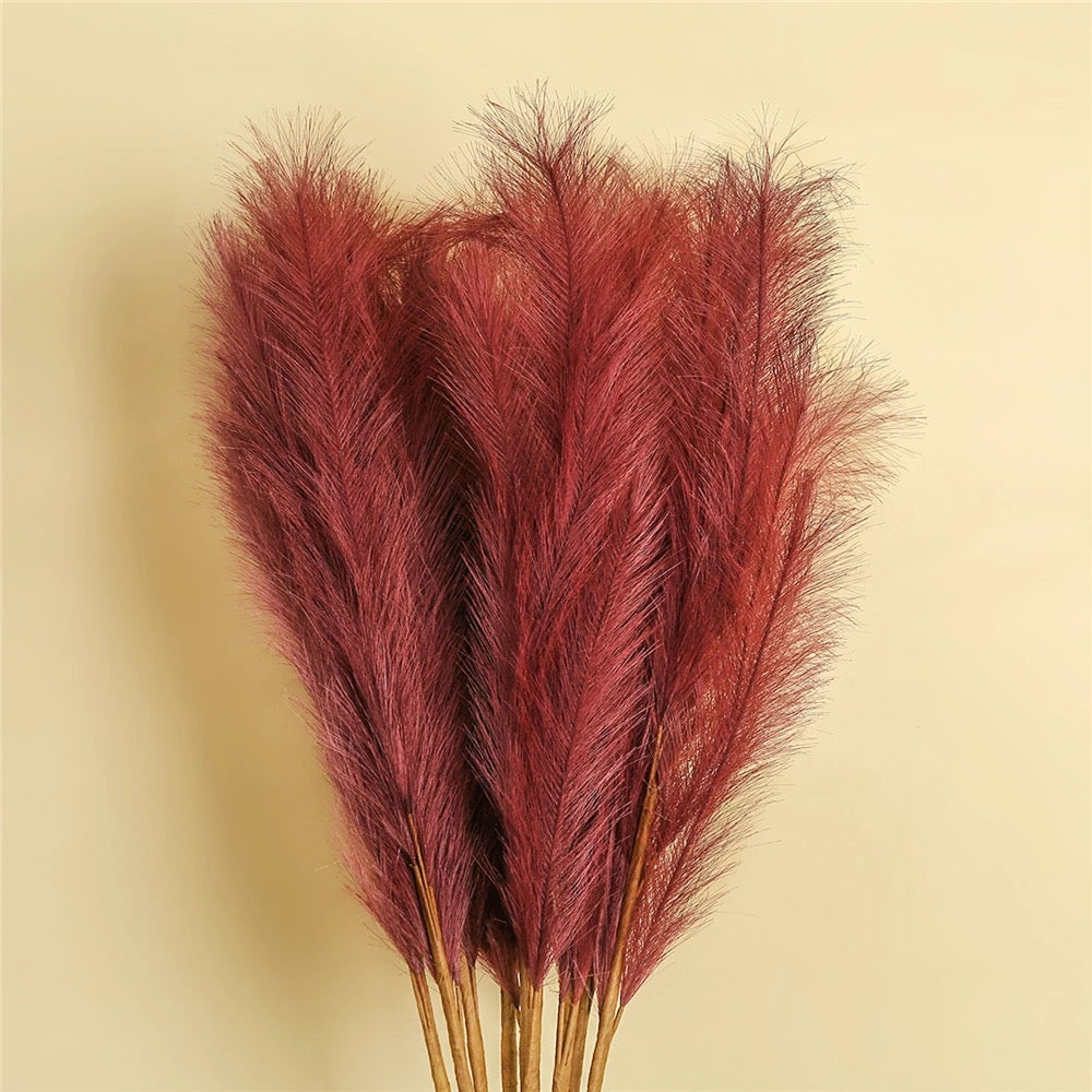 Fluffy βππͺπΎπβ Pampas Stems