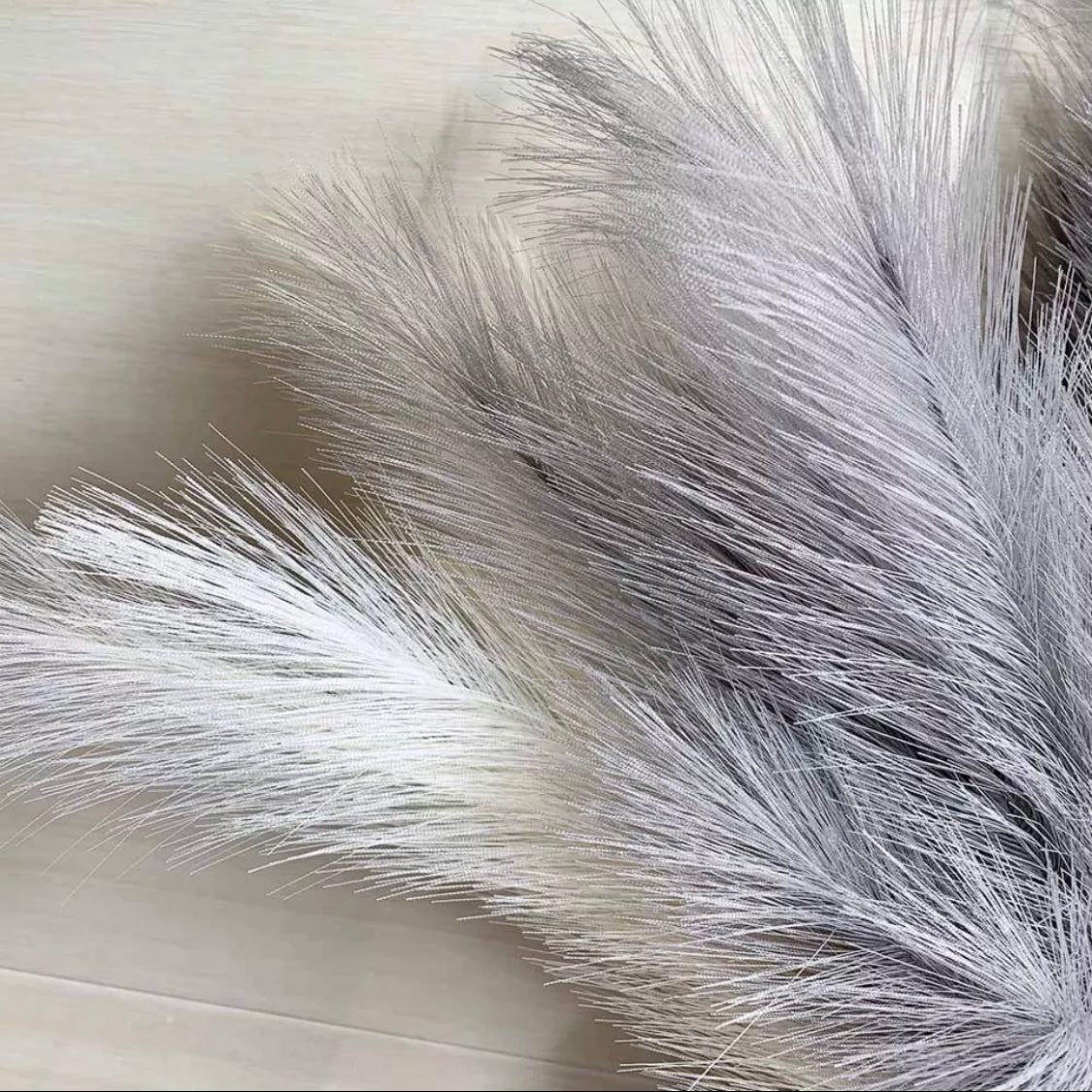 Fluffy βππͺπΎπβ Pampas Stems