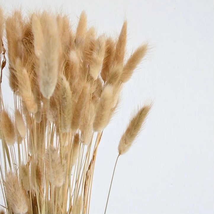 ‘ NATURAL TAN ’ Fluffy Pampas Bunny Tails