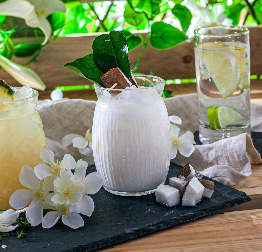 Six Coconut Glasses | Unusual Glasses |