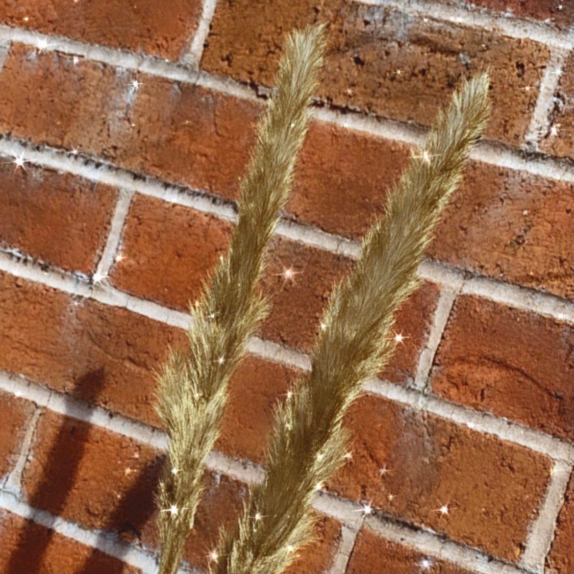Letterbox Palm Spear & Pampas '๐๐ธ๐ต๐ญ๐ฒ๐ฎ' Bouquet