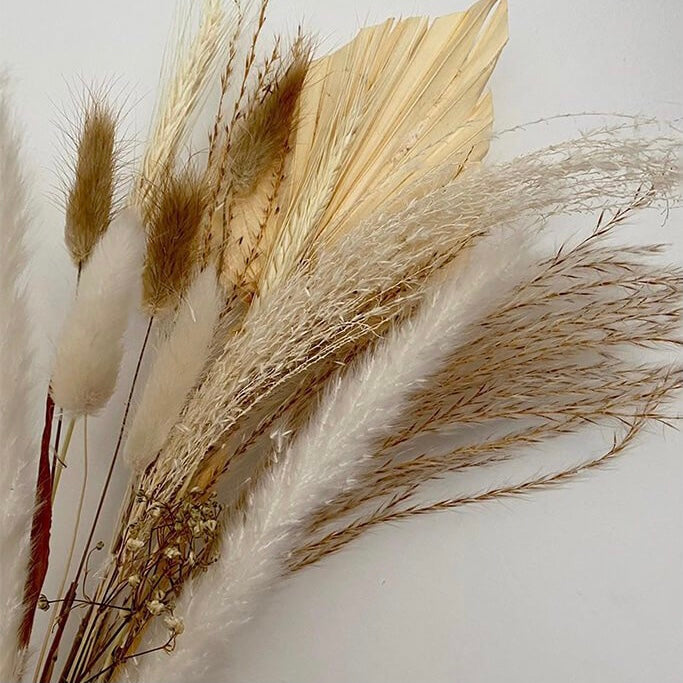 Palm Spear & Pampas LENA Posie