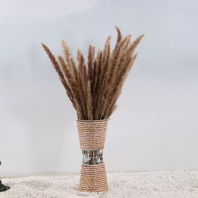 Natural Pampas Brown β ππΈπ¬πΈβ Grass Stems