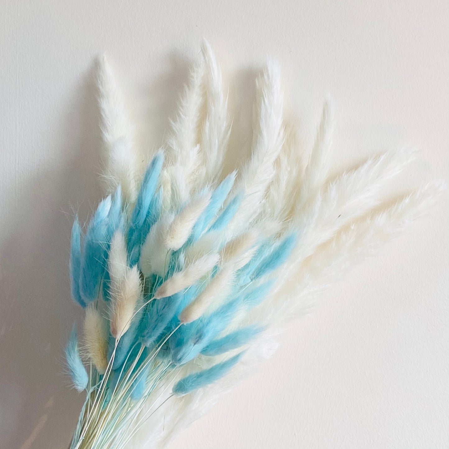 Fluffy โ๐ฃ๐ฒ๐ฏ๐ฏ๐ช๐ท๐โ Mixed Pampas & Bunny Tails