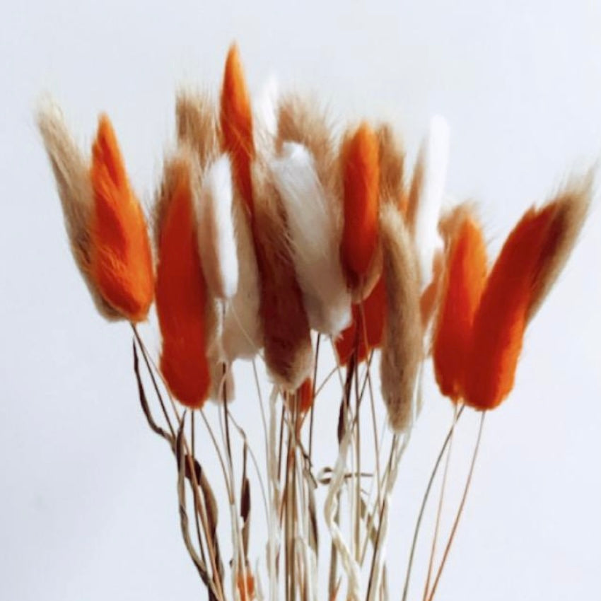 Fluffy AUTUMN Mixed Pampas Bunny Tails