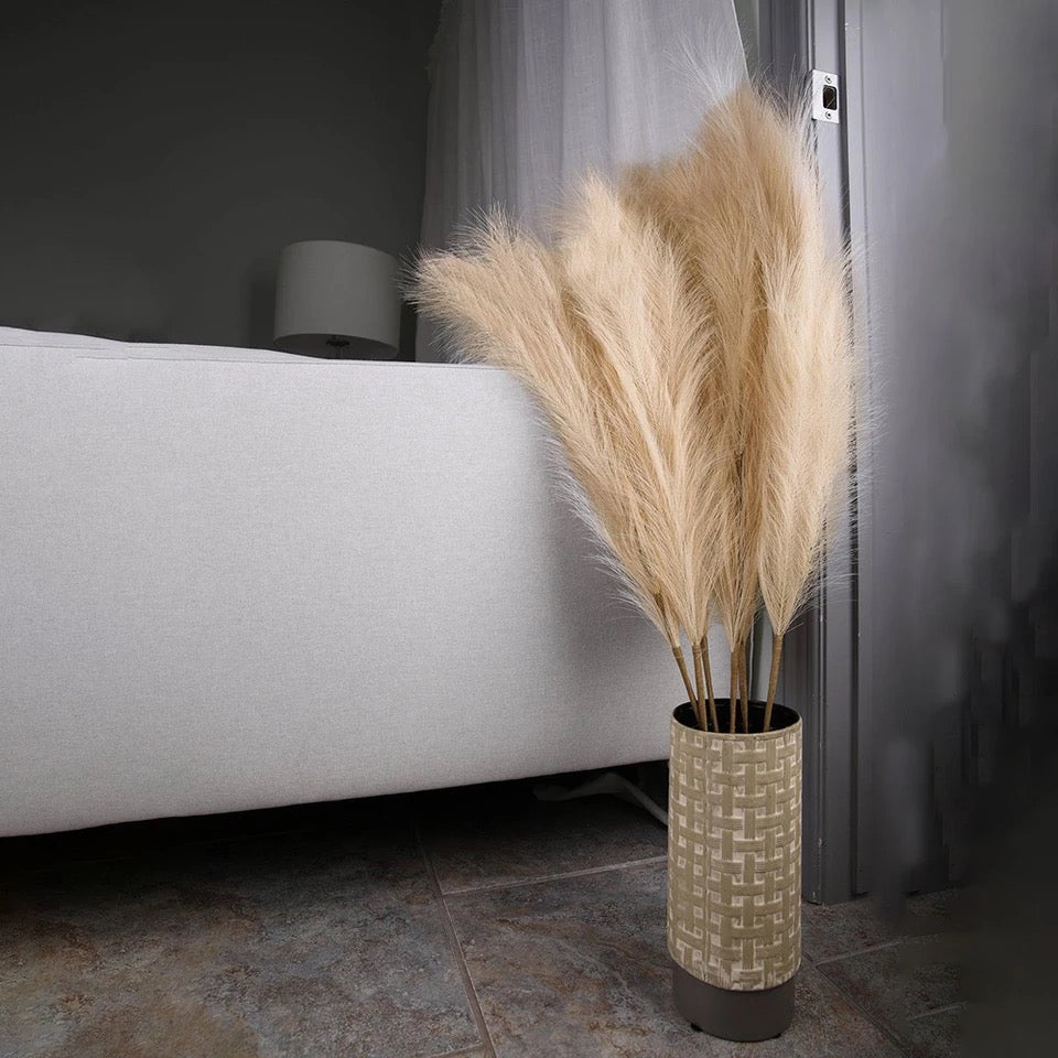 Fluffy βππͺπΎπβ Pampas Stems
