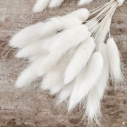 Fluffy โ๐ข๐ท๐ธ๐ ๐ฆ๐ฑ๐ฒ๐ฝ๐ฎโ Pampas Bunny Tails
