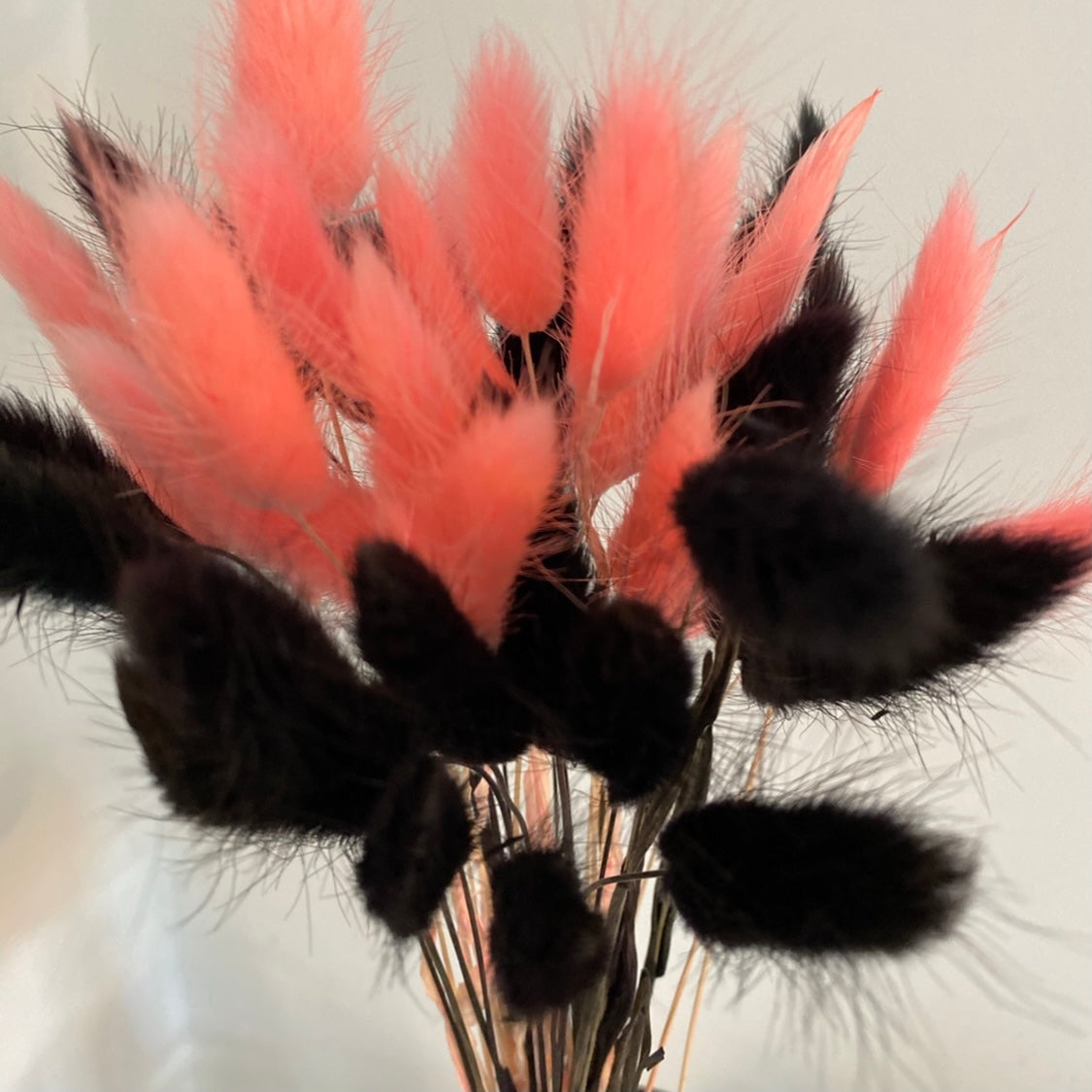 Bright โ๐ข๐พ๐ถ๐ถ๐ฎ๐ปโ Vibe Mixed Pampas Bunny Tails