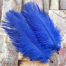 Royal Navy Blue Ostrich Feathers | Large Light Blue Feathers |
