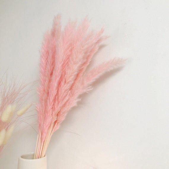 Natural Pampas Pink โ๐๐ช๐ป๐ซ๐ฒ๐ฎโ Grass Stems - Pretty Little Presents