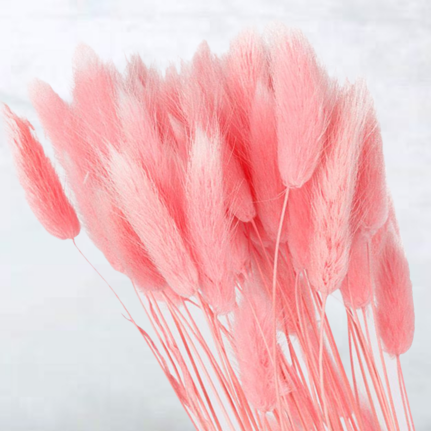 Pink βππͺπ·ππ ππ΅πΈπΌπΌβ Fluffy Pampas Bunny Tails - Pretty Little Presents