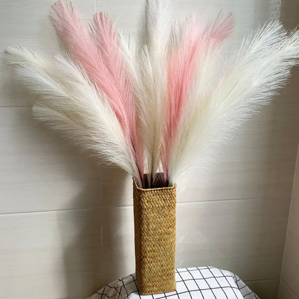 Fluffy βππͺπΎπβ Pampas Stems