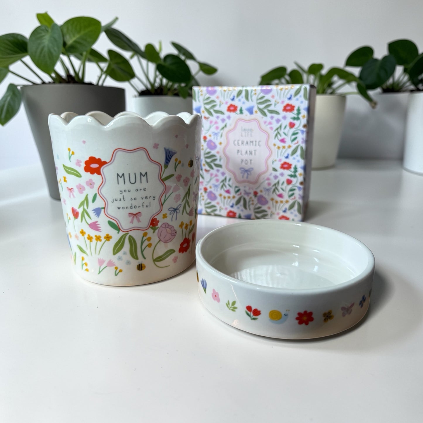Charming Mum Plant Pot / Vase & Tray