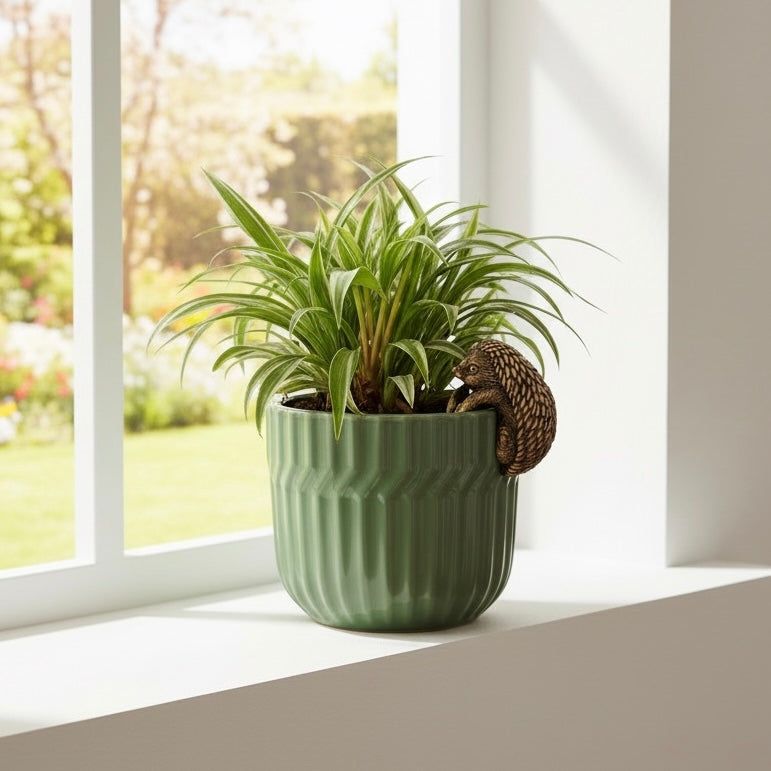 Quirky Plant Pot Friends
