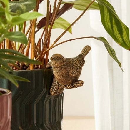 Quirky Plant Pot Friends