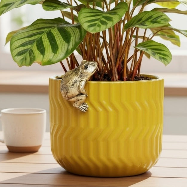 Quirky Plant Pot Friends