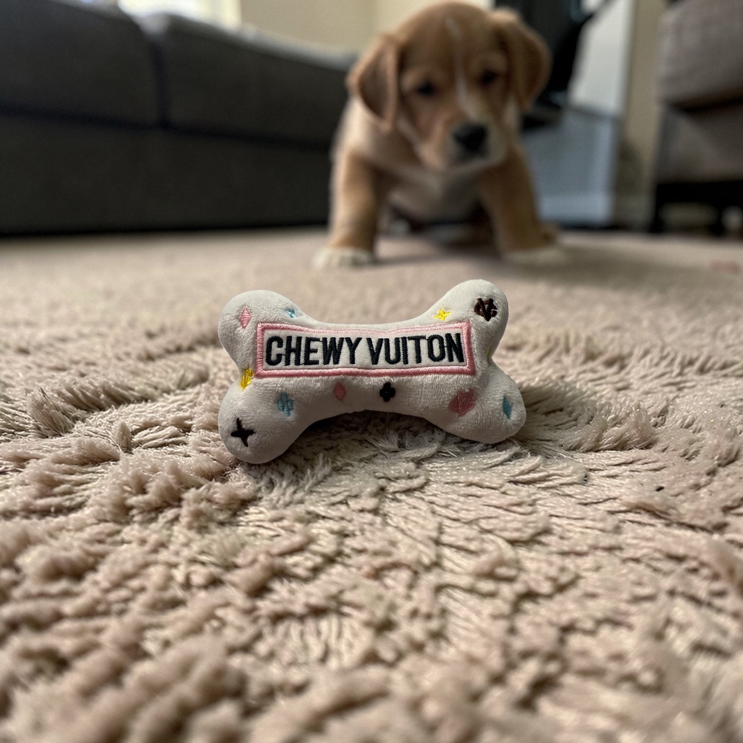 Bone Shaped Squeaky Small Dog Toy