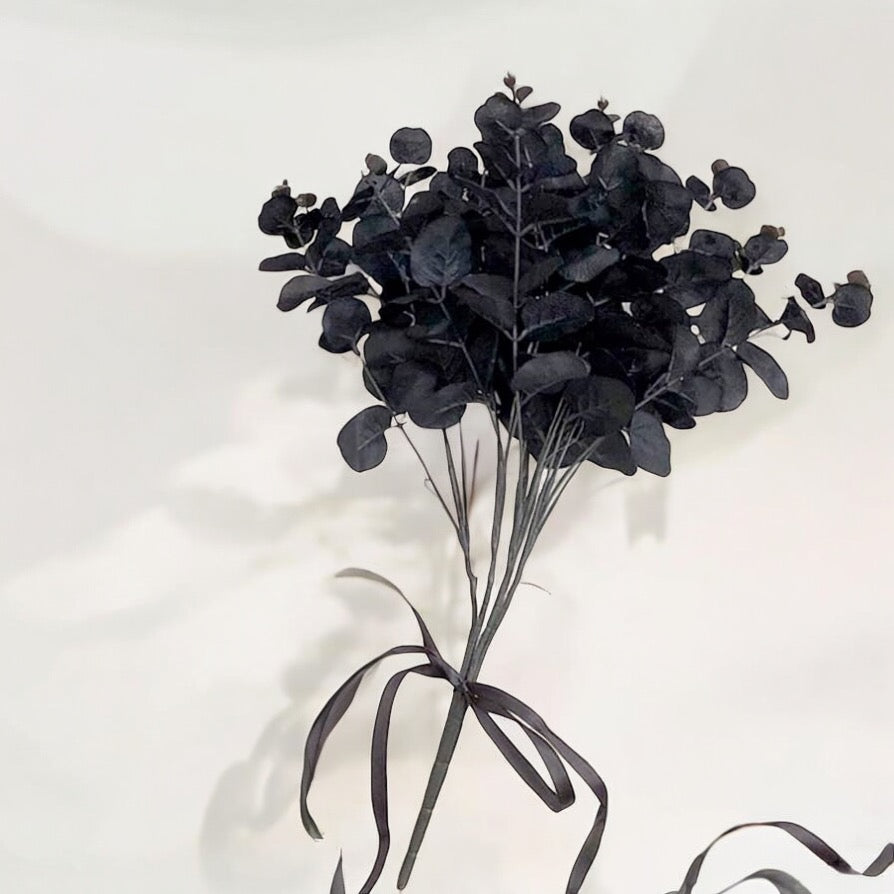 6 Pieces Of Black Eucalyptus Stems