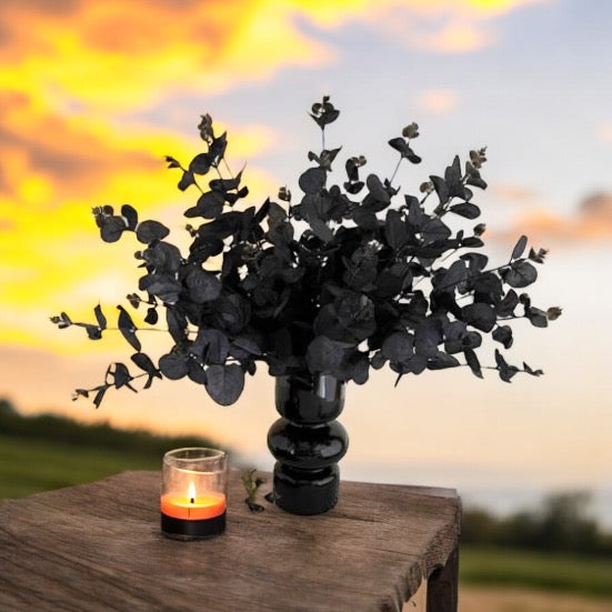6 Pieces Of Black Eucalyptus Stems