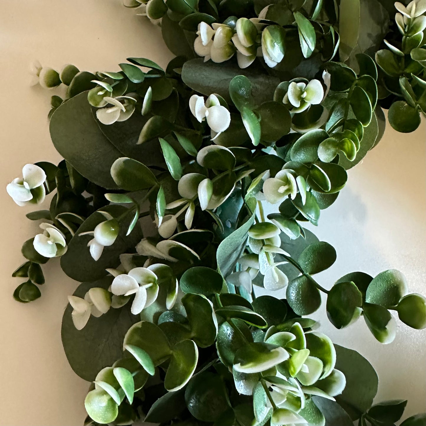 Outdoor Eucalyptus Wreath