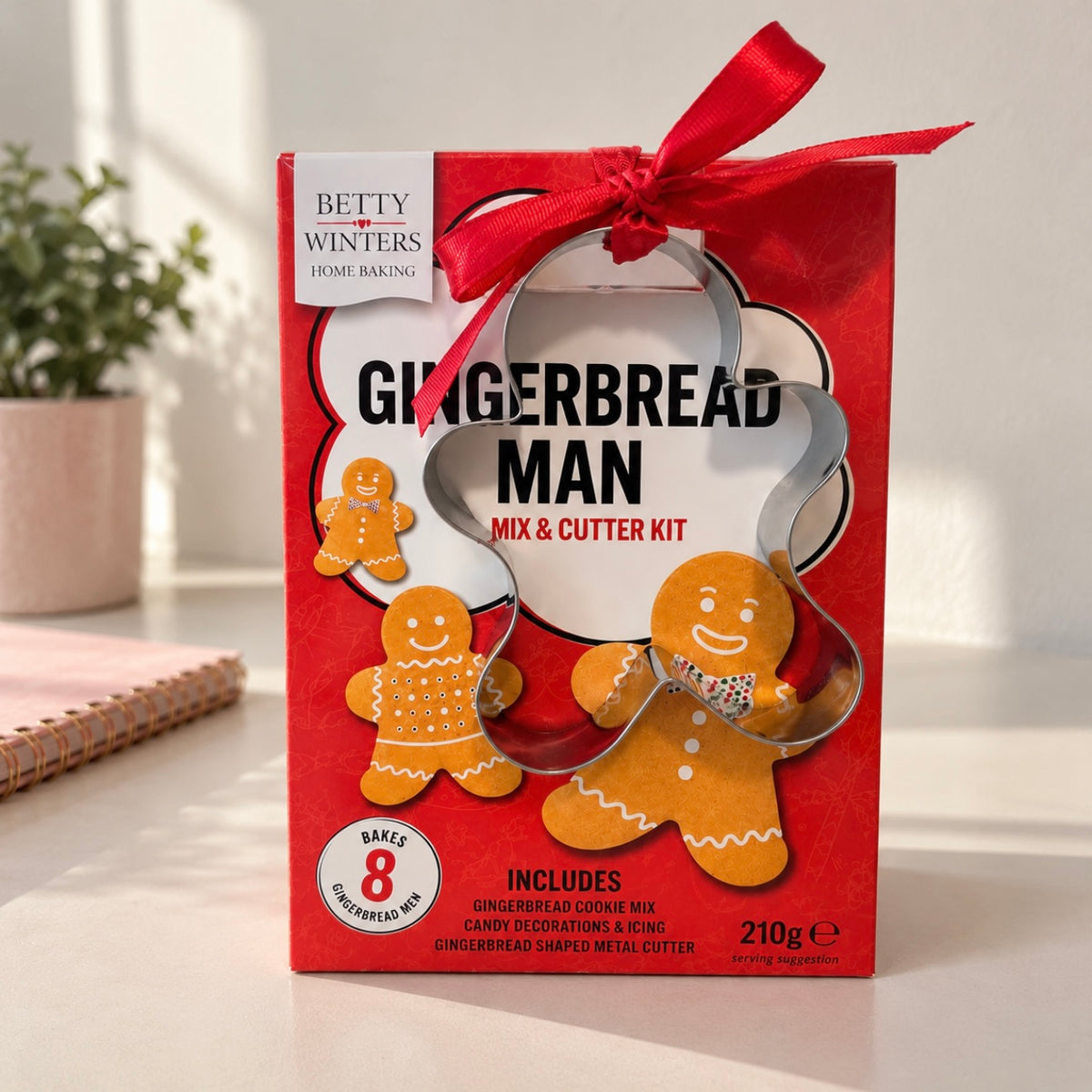 Kids’ Gingerbread Christmas Gift Box