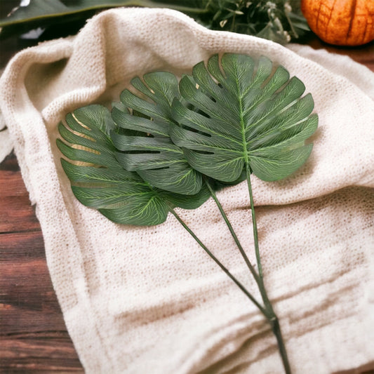 Palm Leaf Stems
