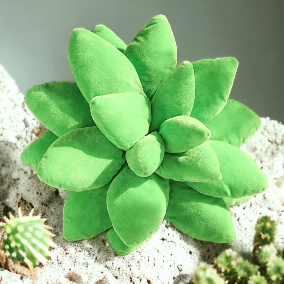 Plush Cactus Cushions