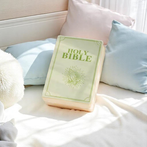 Plush Bible Cuddle Cushion