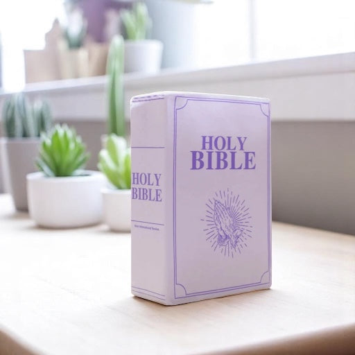 Plush Bible Cuddle Cushion