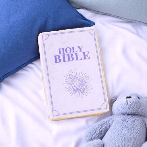 Plush Bible Cuddle Cushion