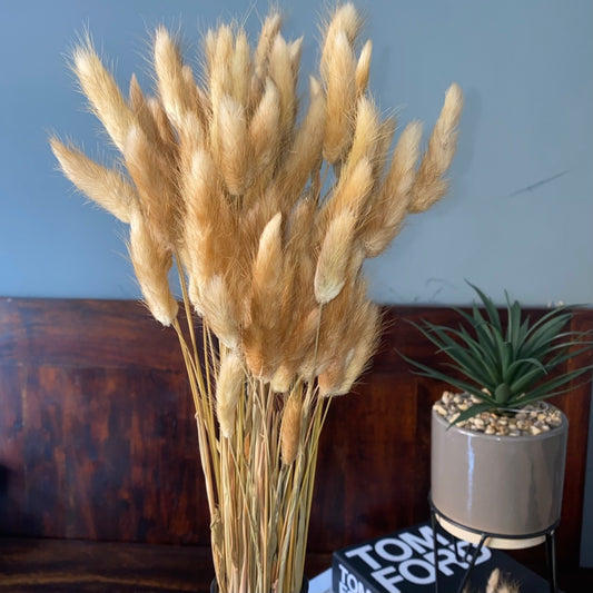 ‘ NATURAL TAN ’ Fluffy Pampas Bunny Tails