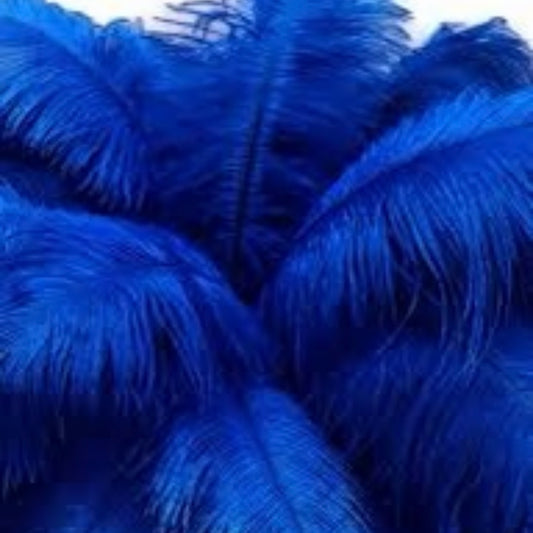 Royal Navy Blue Ostrich Feathers | Large Light Blue Feathers |