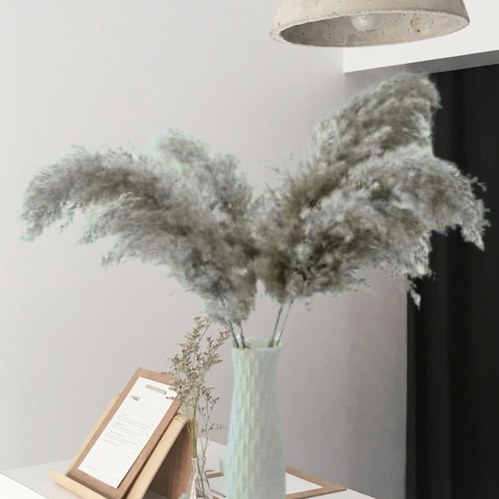 Natural Pampas ‘ 𝓖𝓲𝓷𝓪’ Grey Fluffy Stems - Pretty Little Presents