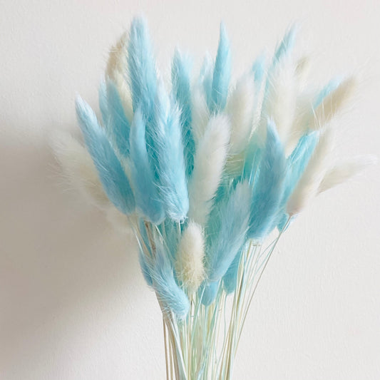 Fluffy ‘𝓣𝓲𝓯𝓯𝓪𝓷𝔂’ Mixed Pampas & Bunny Tails