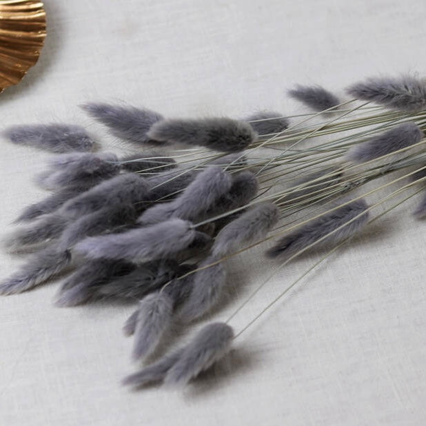 Luxury ‘𝓖𝓻𝓪𝓬𝓲𝓮’ Grey Fluffy Pampas Stems