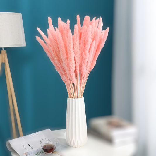Natural Pampas Pink ‘𝓑𝓪𝓻𝓫𝓲𝓮‘ Grass Stems - Pretty Little Presents