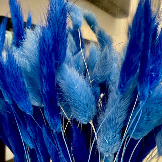 Fluffy Blue SAPPHIRE Pampas Bunny Tails
