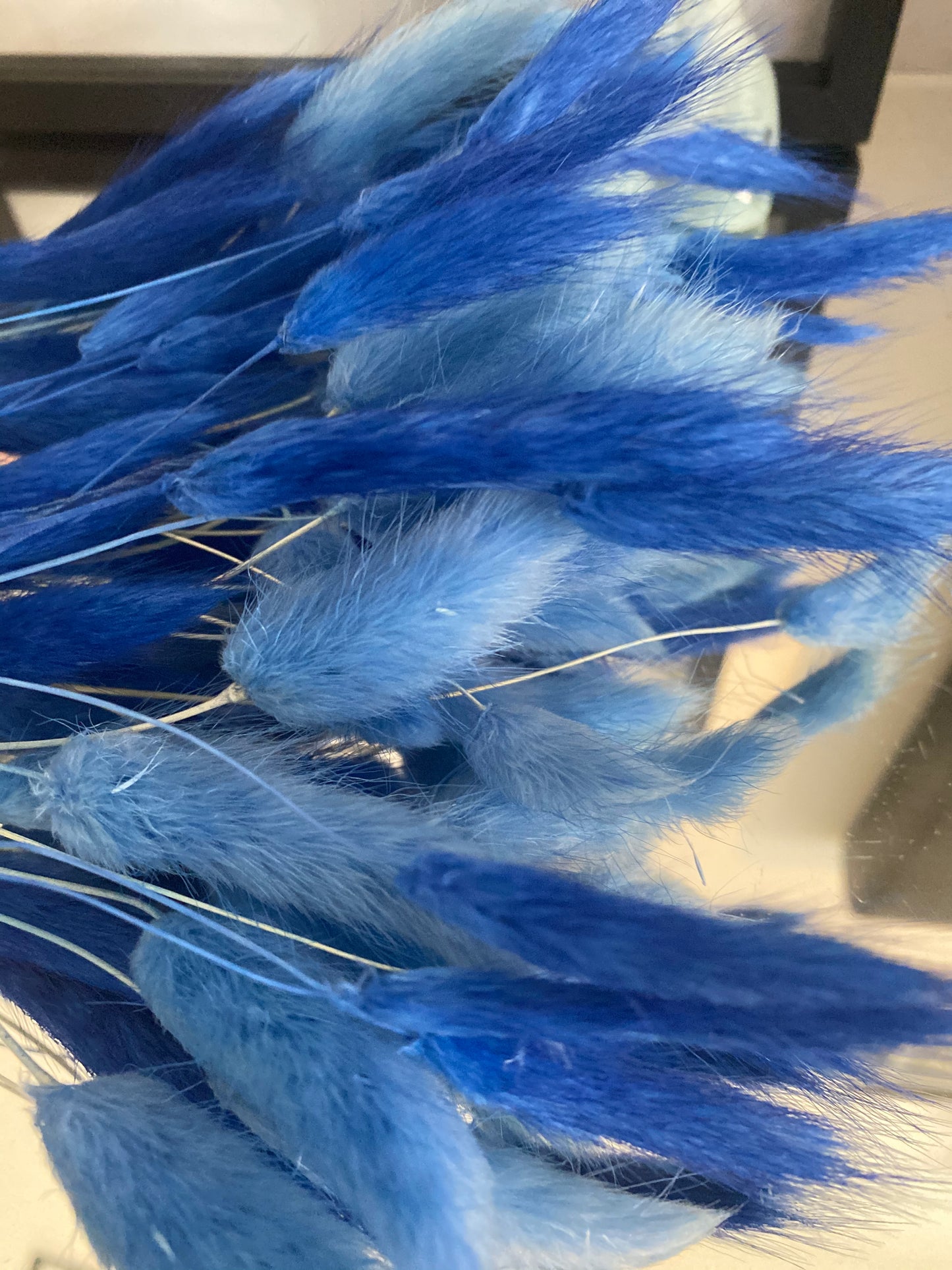 Luxury ‘𝓖𝓻𝓪𝓬𝓲𝓮’ Grey Fluffy Pampas Stems