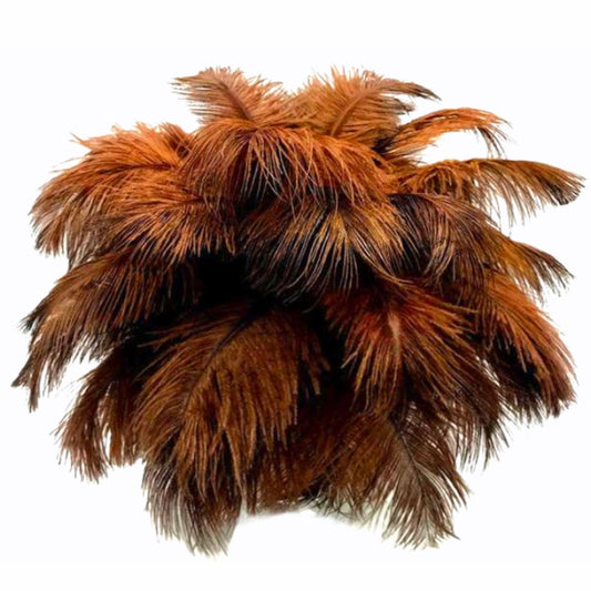 Beatiful Bouquet of '𝓒𝓱𝓸𝓬𝓸𝓵𝓪𝓽𝓮 𝓑𝓻𝓸𝔀𝓷' Ostrich Feathers