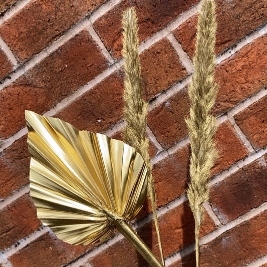 Letterbox Palm Spear & Pampas '𝓖𝓸𝓵𝓭𝓲𝓮'  Bouquet