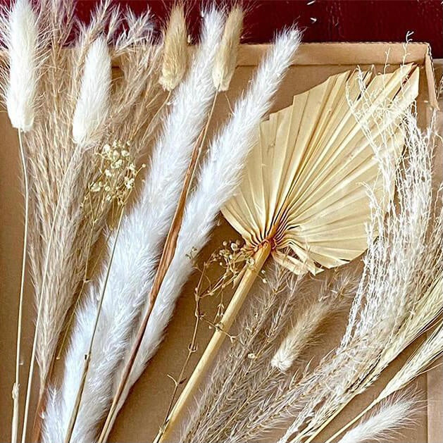 Palm Spear & Pampas LENA Posie