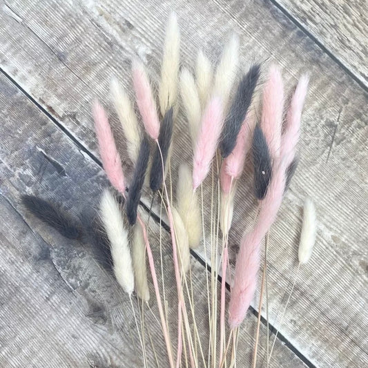Fluffy ‘ 𝓐𝓻𝓪𝓫𝓮𝓵𝓵𝓪’ Mixed Bunny Tails