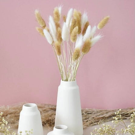 Fluffy ‘ 𝓐𝓻𝓪𝓫𝓮𝓵𝓵𝓪’ Mixed Pampas Bunny Tails