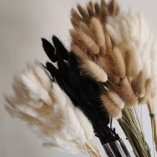 Fluffy ‘𝓡𝓸𝔁𝔂’ Mixed Pampas Bunny Tails